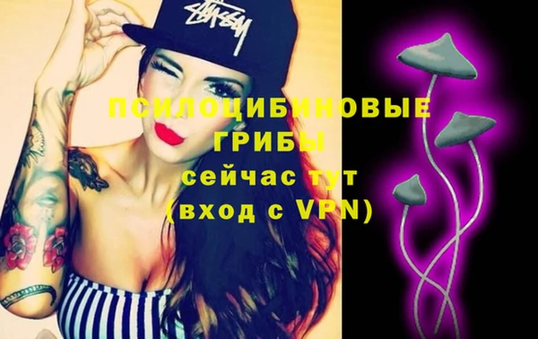 MESCALINE Лабытнанги