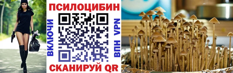 Галлюциногенные грибы Psilocybine cubensis  Называевск 